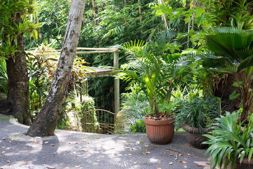 Serenity House Hotel Ubud Exterior foto